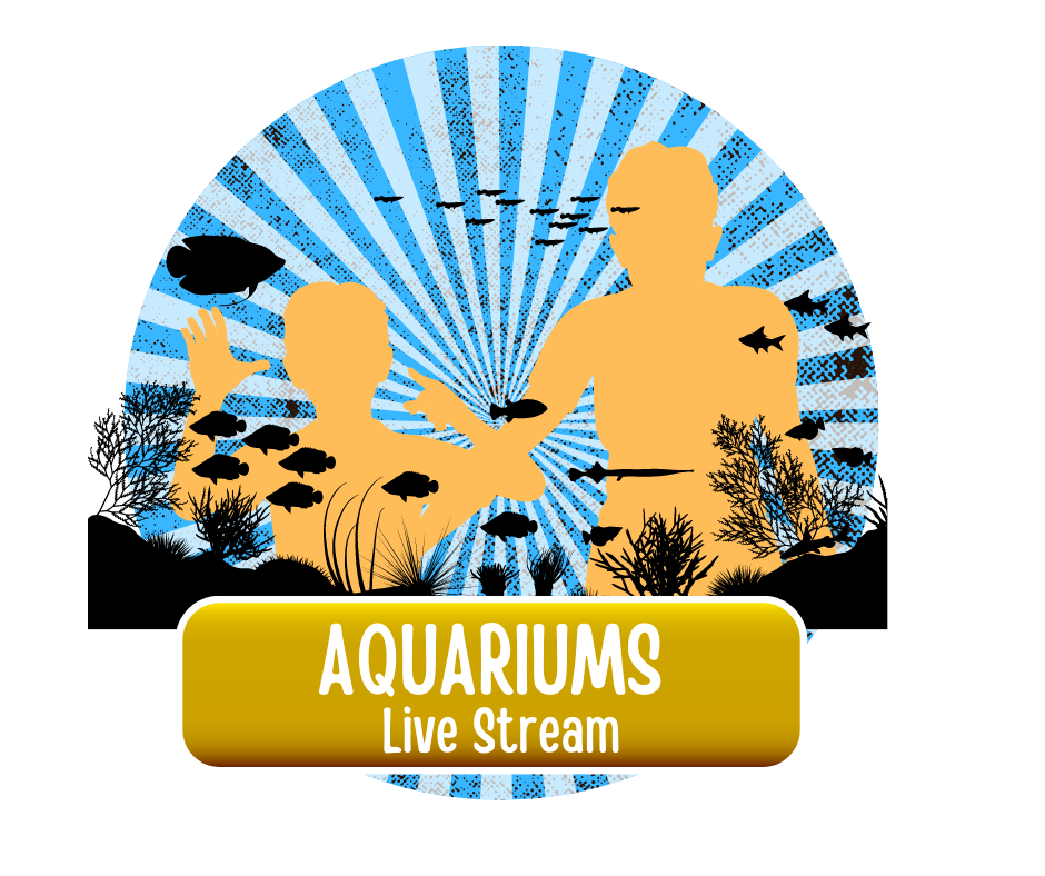Aquariums Link